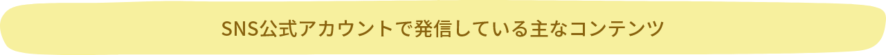 SNS公式アカウントで発信している主なコンテンツ